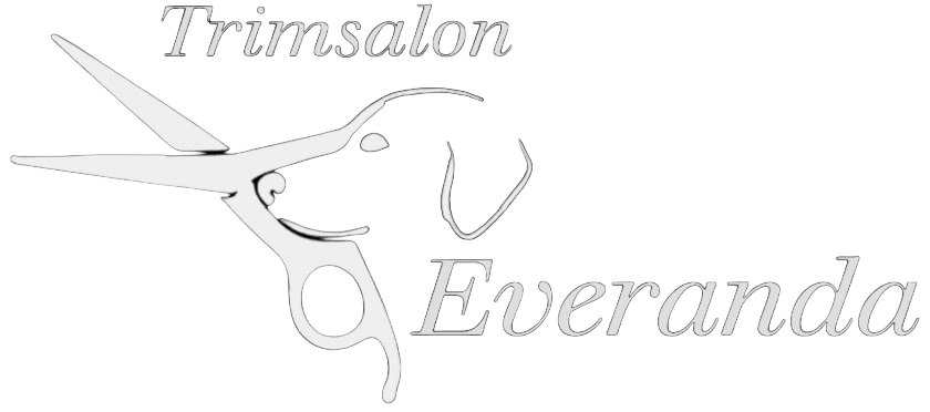 trimsalon